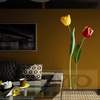 Samolepící dekorace AG Design F0401 Tulips, AGF00401 Tulipány (65 x 85 cm)