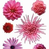 Samolepící dekorace AG Design F0406 Pink flowers, - AGF00406 Růžové květy (65 x 85 cm)