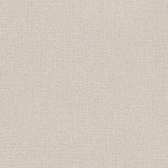 Vliesové tapety Rasch Andy Wand (2023) 639629, vliesová tapeta na zeď 0,53 x 10,05 m